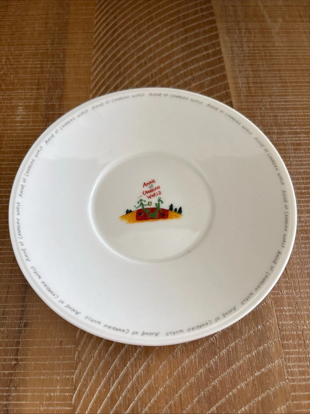 Anne Of Green Gables Canadian World Tea Cup And Saucer Japan